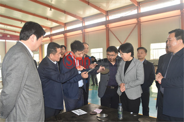 臨清市長祁學(xué)蘭參觀指導(dǎo)