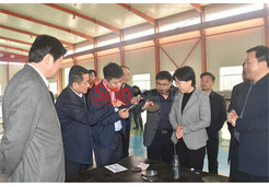 臨清市長(zhǎng)祁學(xué)蘭參觀慰問(wèn)