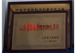 山東省企業(yè)管理創(chuàng)新成果獎(jiǎng)